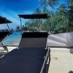 O Paraiso No Terraco *